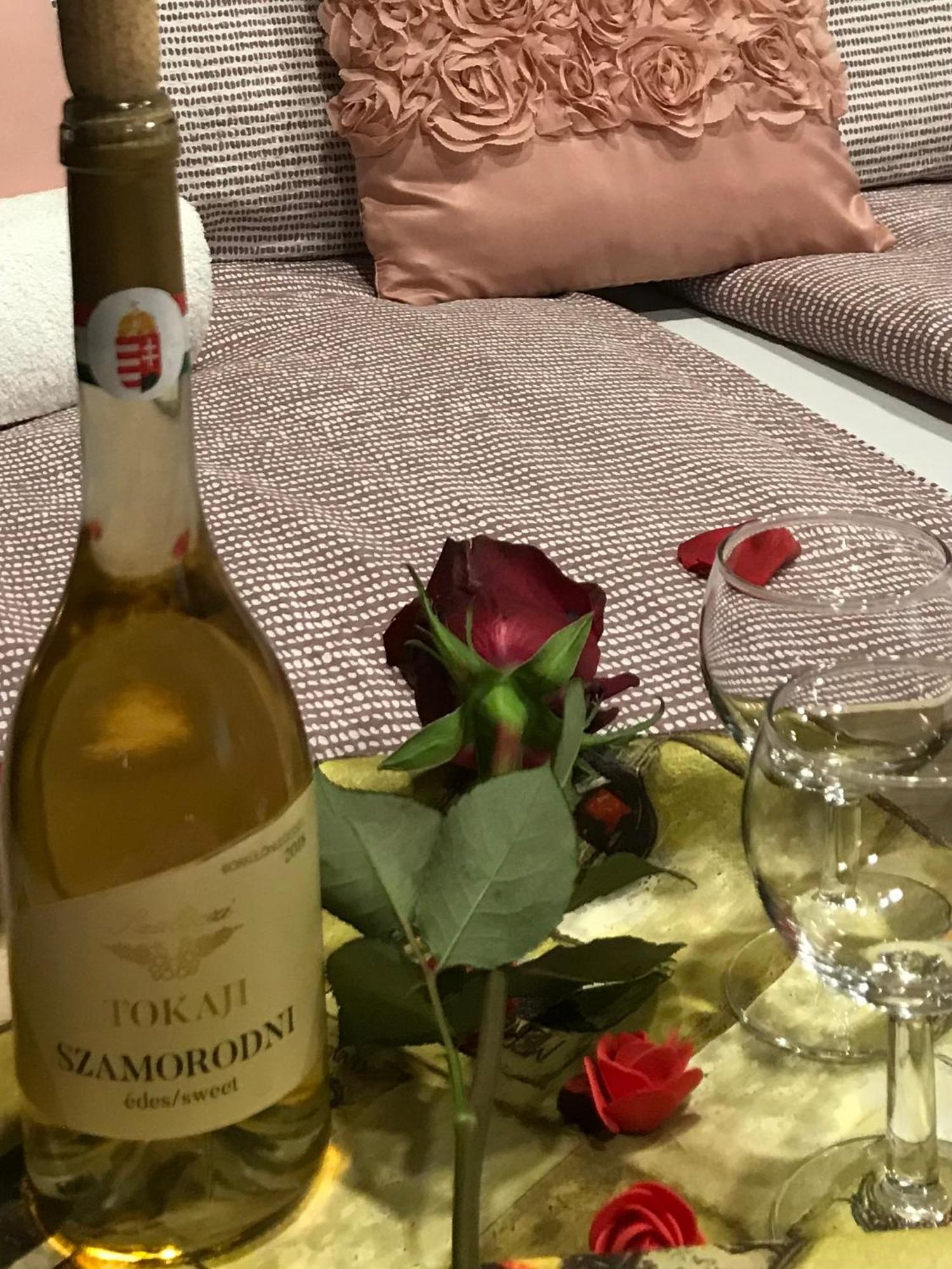 Hotel Aranyfuert Vendeghaz Tokaj Exteriér fotografie
